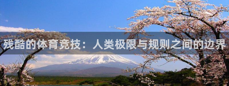 ug环球官网：残酷的体育竞技：人类极限与规则之间的边界
