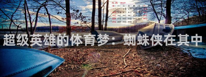 ug环球官网登录入口：超级英雄的体育梦：蜘蛛侠在其中