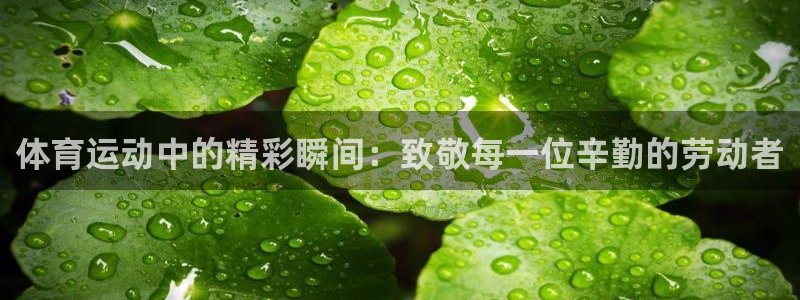 ug环球官网：体育运动中的精彩瞬间：致敬每一位辛勤的劳动者