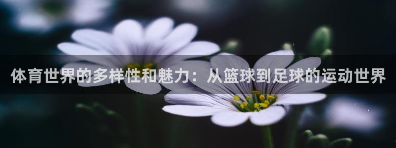 ug环球官网注册：体育世界的多样性和魅力：从篮球到足球的运动世界