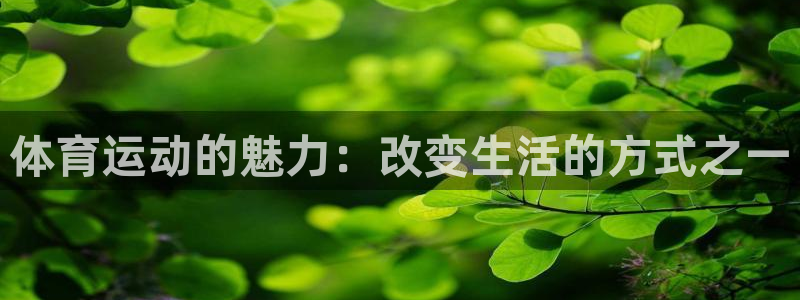 ug环球官网注册：体育运动的魅力：改变生活的方式之一
