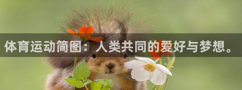 ug环球官网登录入口：体育运动简图：人类共同的爱好与梦想。