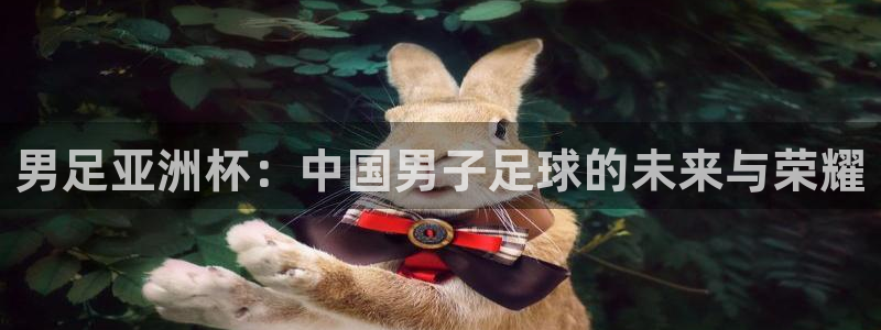 ug环球官网登录入口：男足亚洲杯：中国男子足球的未来与荣耀