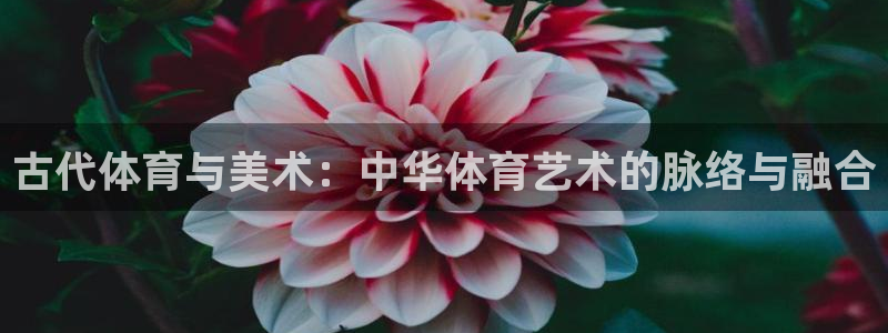 ug环球官网登录入口：古代体育与美术：中华体育艺术的脉络与融合