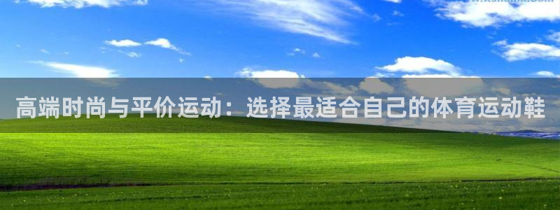 ug环球官网：高端时尚与平价运动：选择最适合自己的体育运动鞋